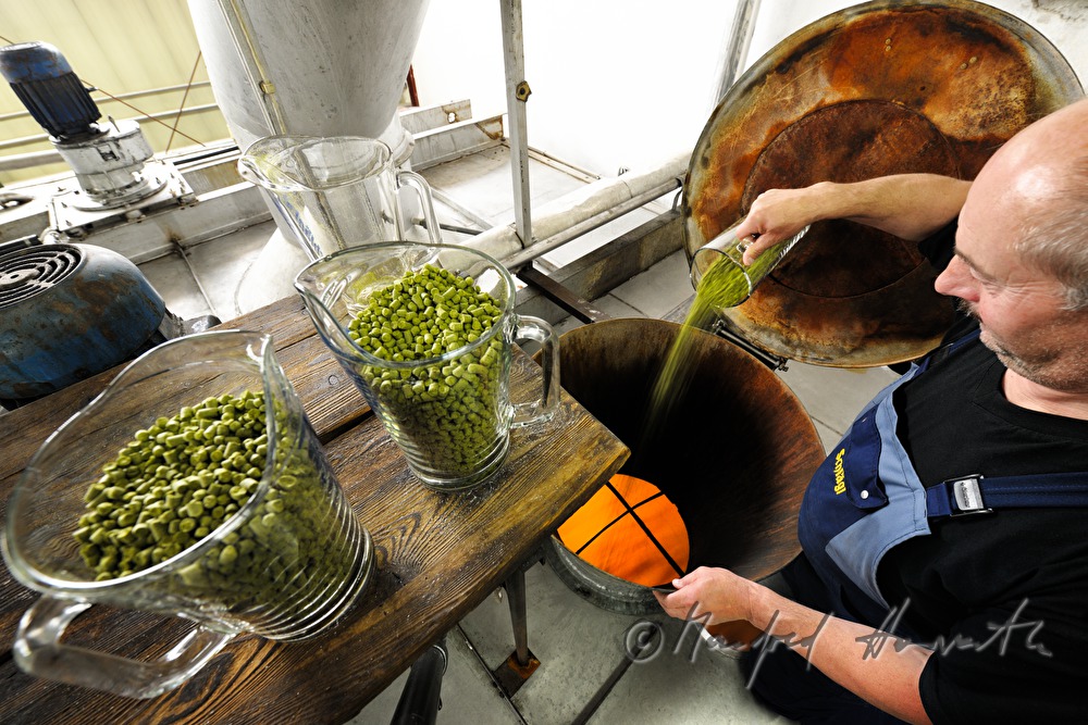 master brewer adding hops in the brew house