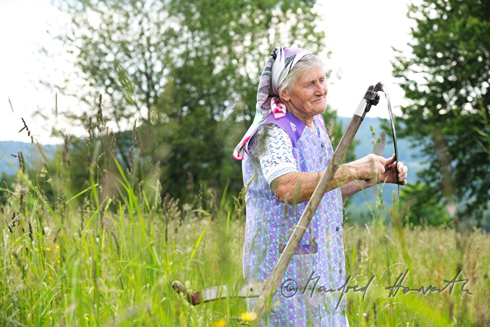 farmers wife mowing grass for the cows