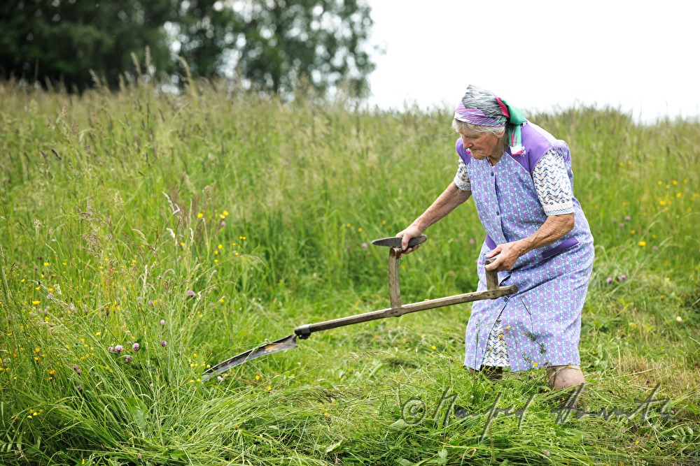 farmers wife mowing grass for the cows