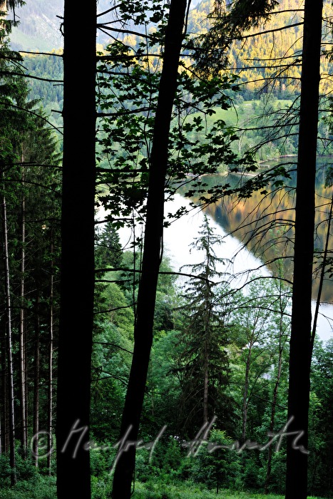 Lunzer See from the Maiszinken