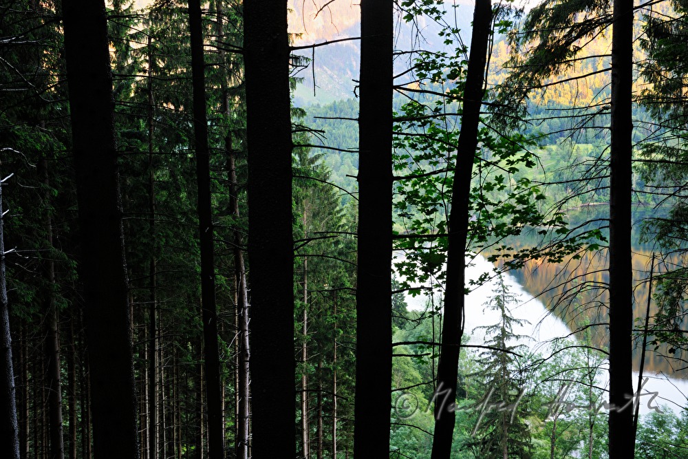 Lunzer See from the Maiszinken