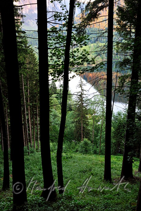 Lunzer See from the Maiszinken