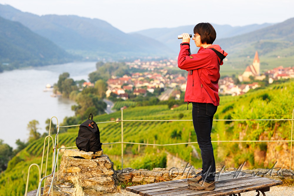 wanderer views from vineyard 