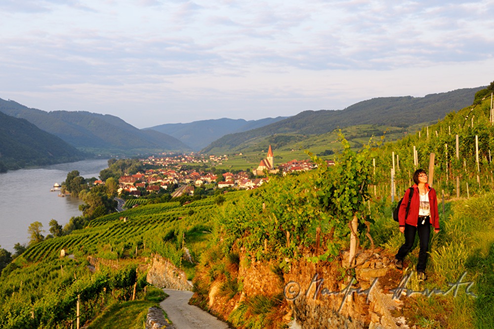 hiker strolls through the vineyard