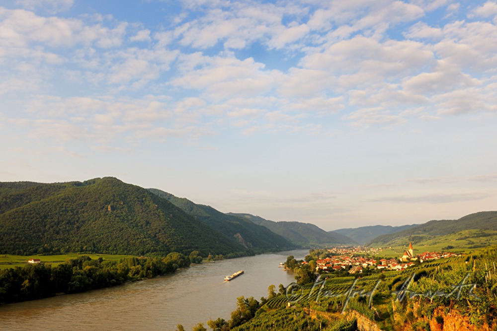view from vineyard 