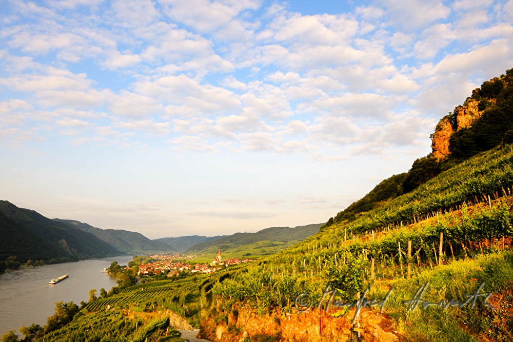 view from vineyard 