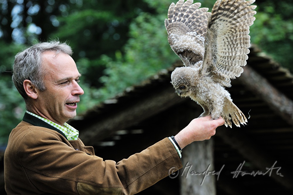 joung barn owl and zoo director in the nature park