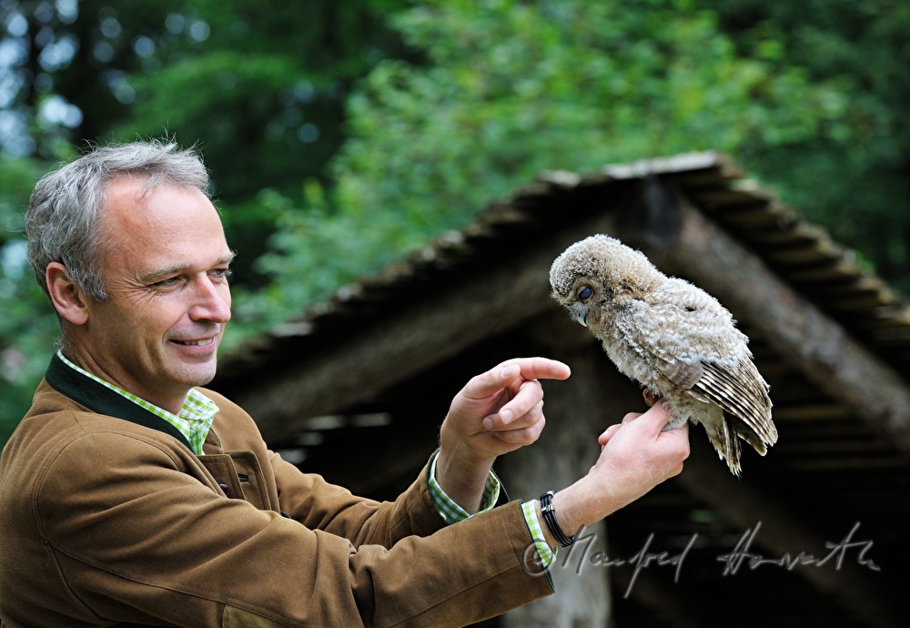 joung barn owl and zoo director in the nature park