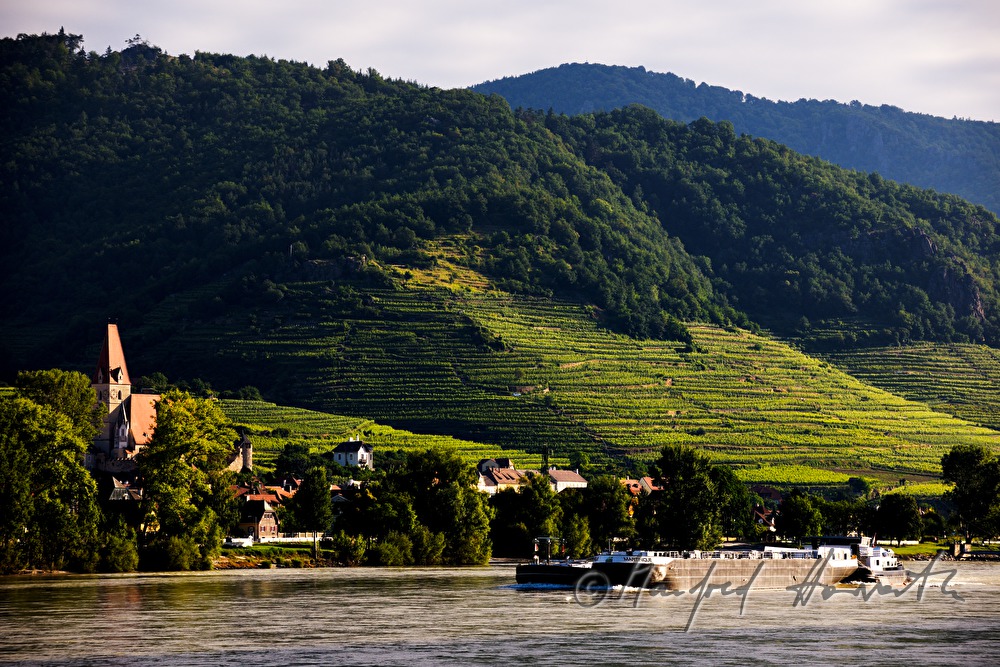 view from the ferry station St. Lorenz