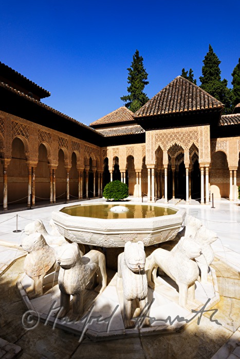 Court of the Lions and the Fabulous Fountain