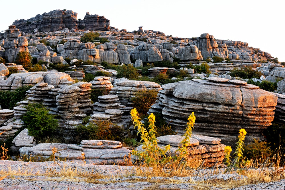 karst formation 