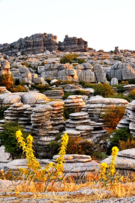 karst formation 