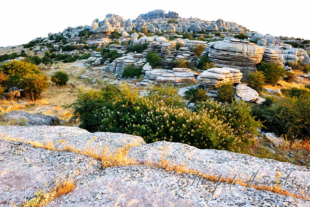 karst formation 