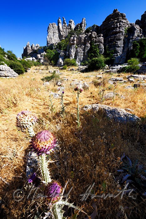 karst formation 