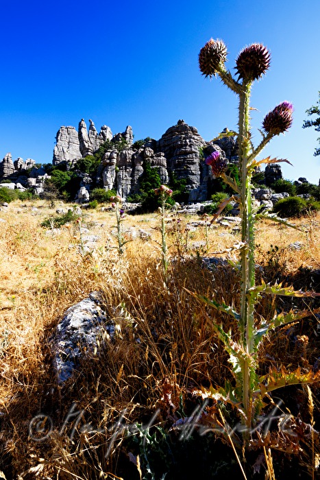 karst formation 