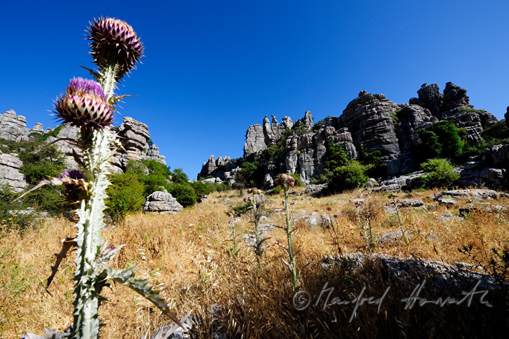 formation of karst rocks