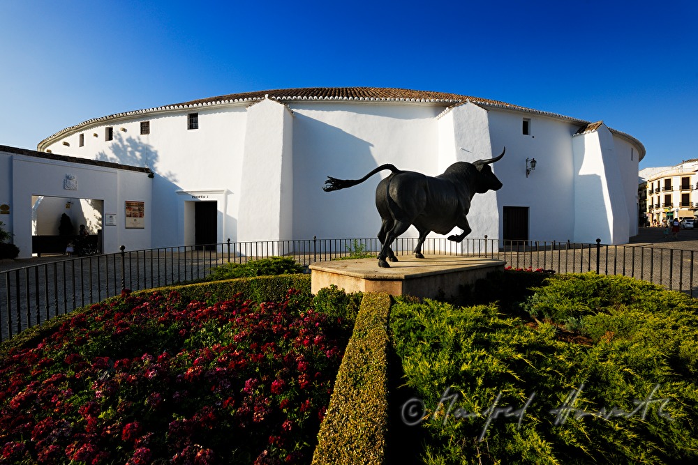 bullfighting arena and sculpture of a bull