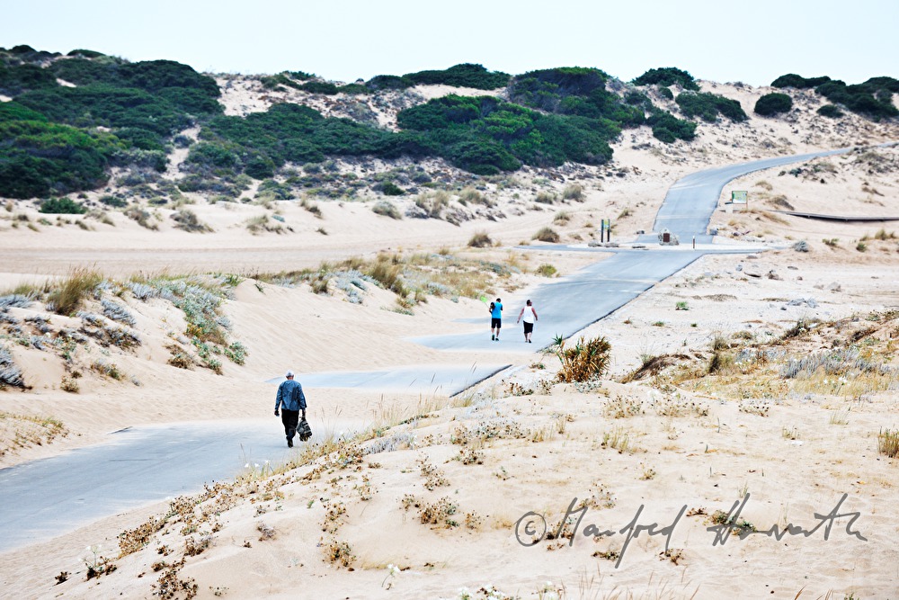 lighthouse or Barbate and sanddune