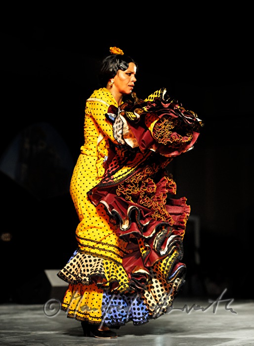 flamenco dancer on the stage