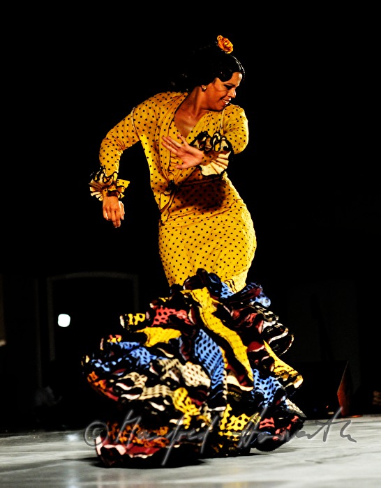 flamenco dancer on the stage