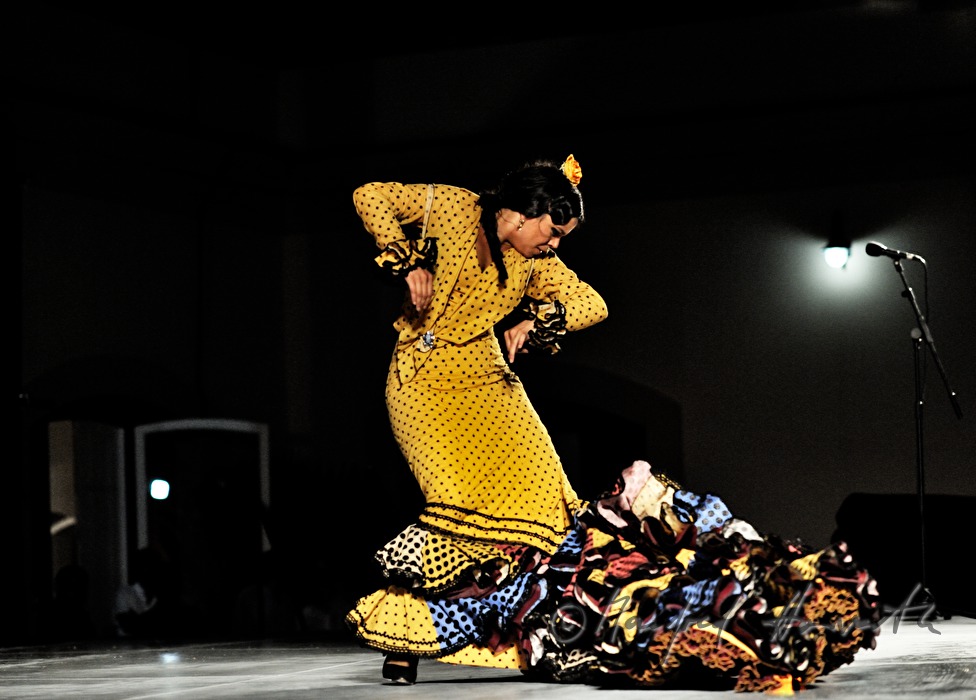 flamenco dancer on the stage