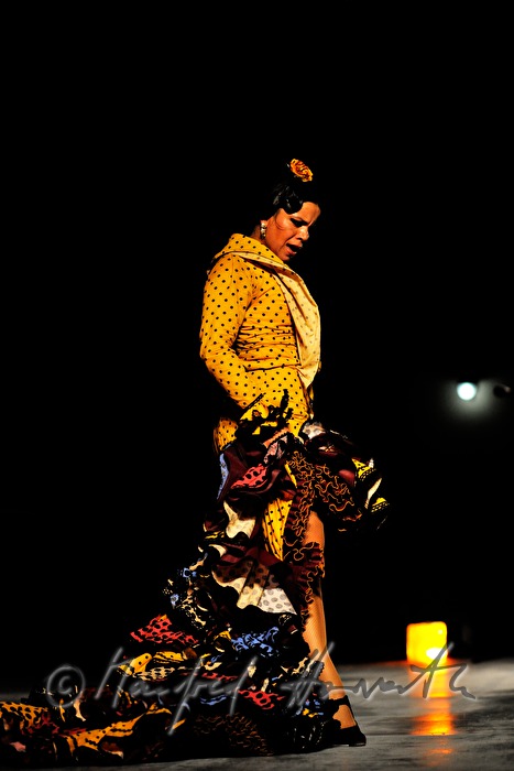 flamenco dancer on the stage