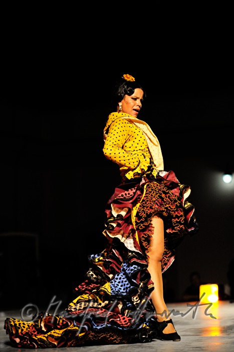 flamenco dancer on the stage