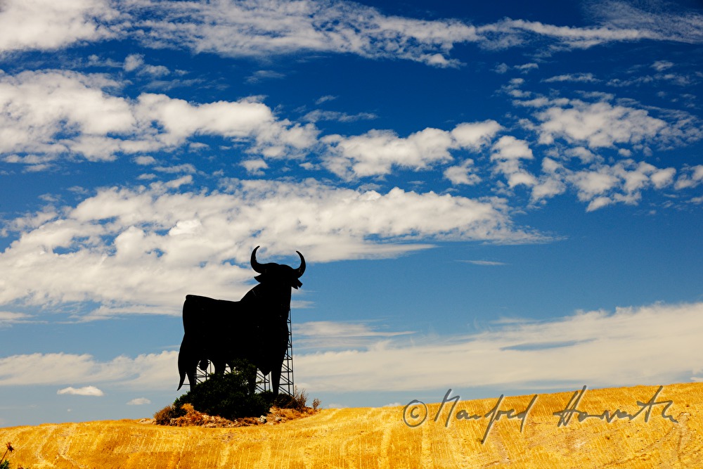 very big sculpture of a bull in a crop field