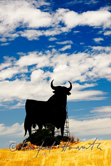 very big sculpture of a bull in a crop field