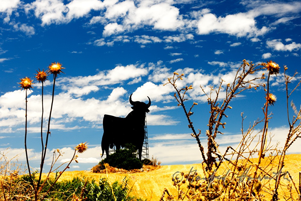 very big sculpture of a bull in a crop field