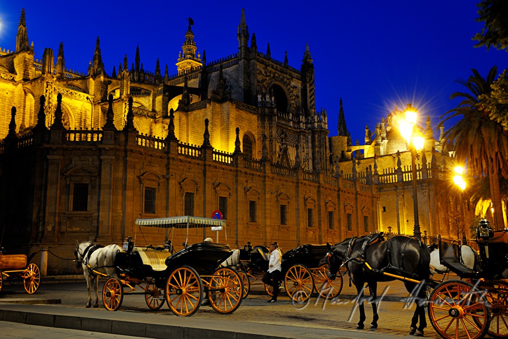 Cathedral of Saint Mary of the See and hackney carriages