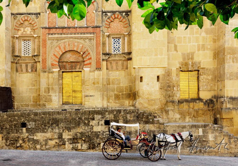 horse cab waiting in front of the Mezquita