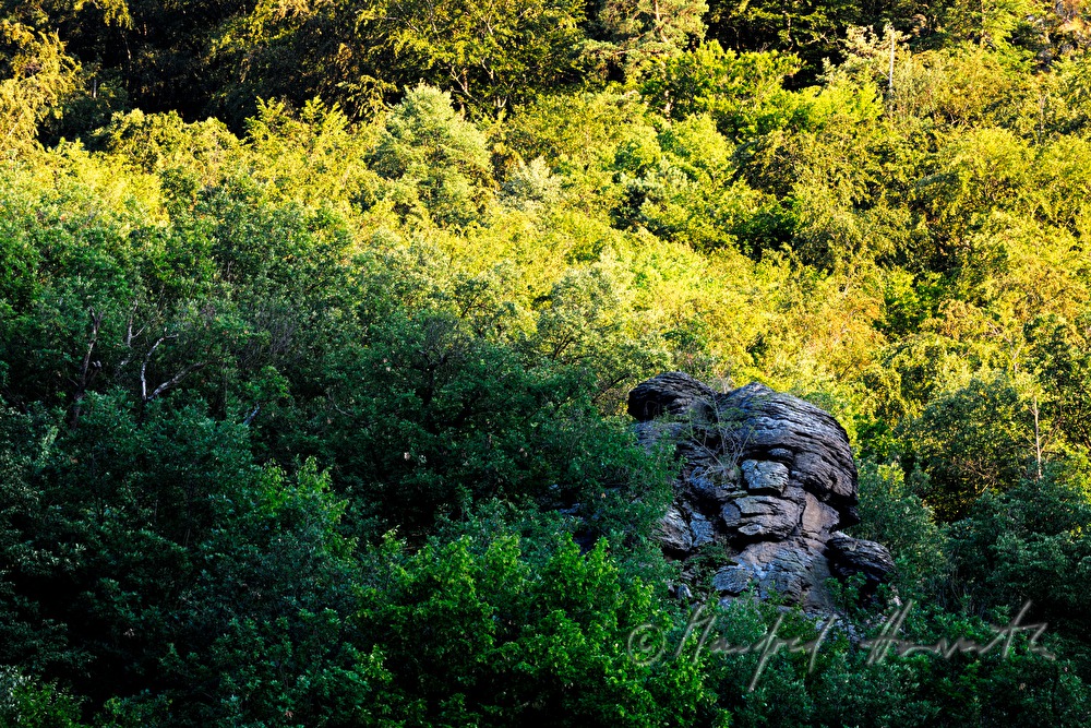 granite formation in the forest