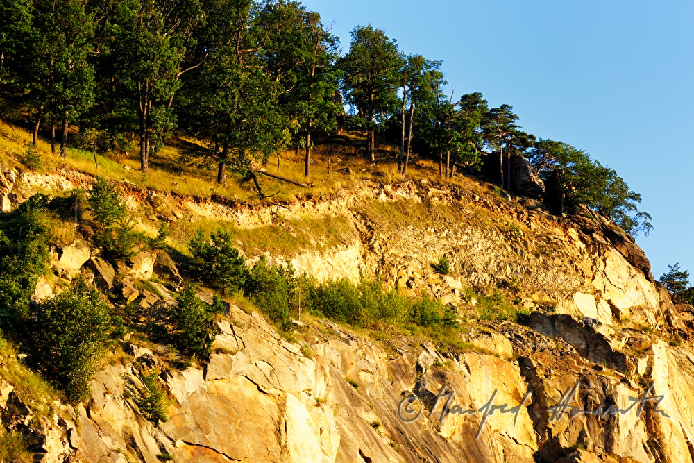 granite formation in the forest