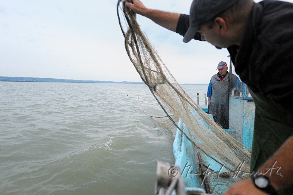 fishermen fishing for pike perch
