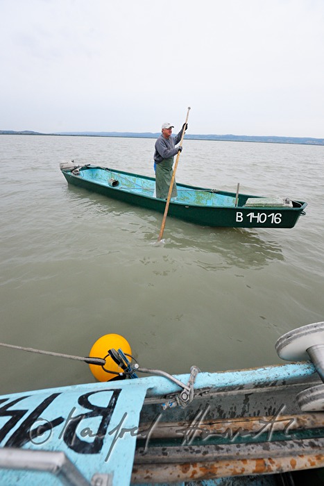 fishermen fishing for pike perch