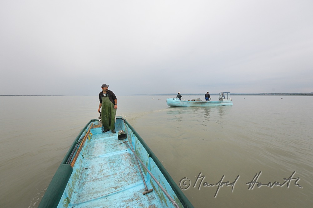 fishermen fishing for pike perch
