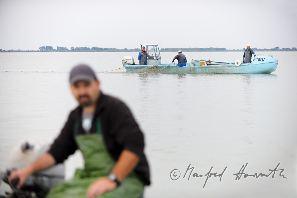 fishermen fishing for pike perch