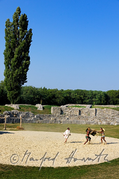 gladiator fight in the amphitheater