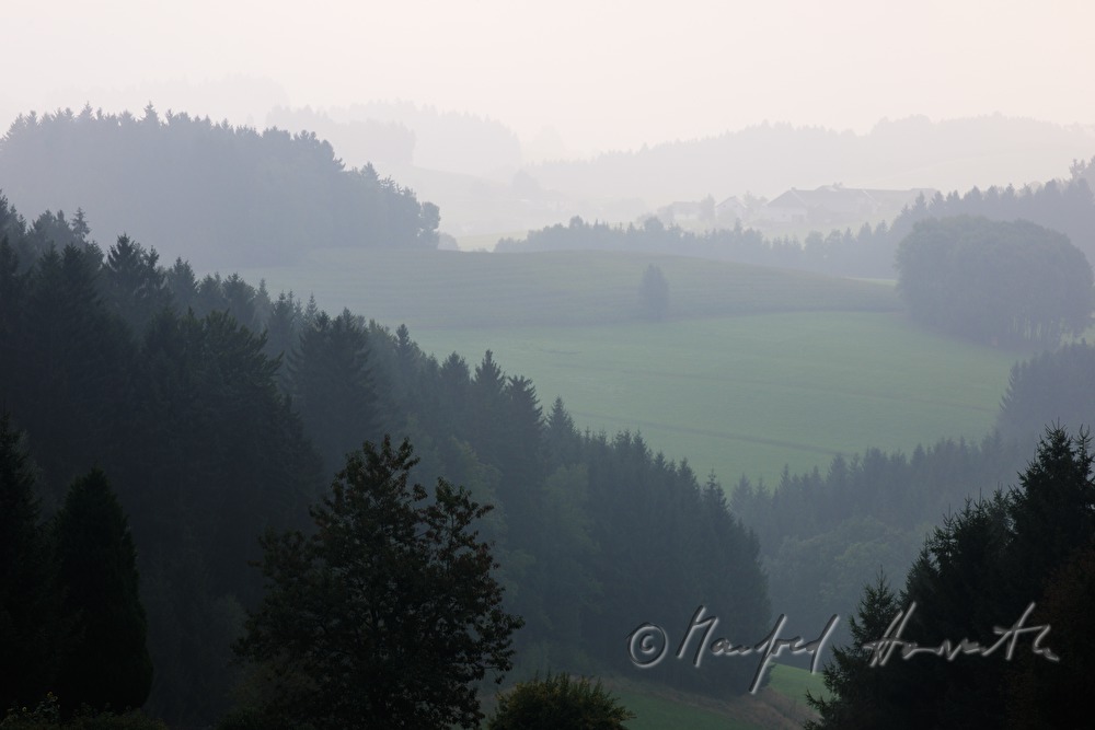 view from Hartmannsdorf to the east