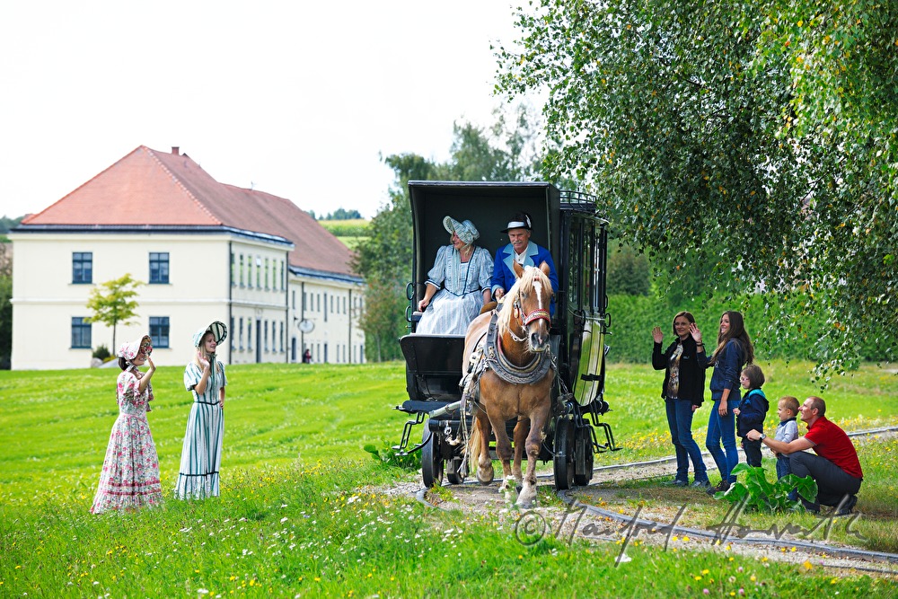 nostalgic trip in the horse-drawn railroad