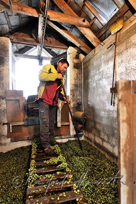 drying of the hops in the oast house