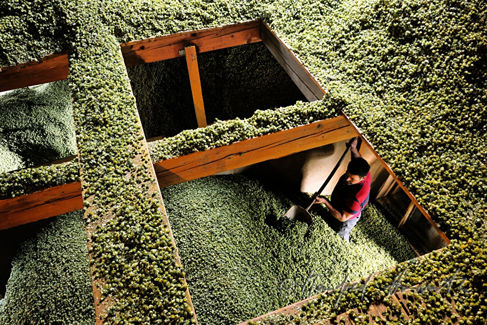 storehouse of the hops in the attic of the oast house