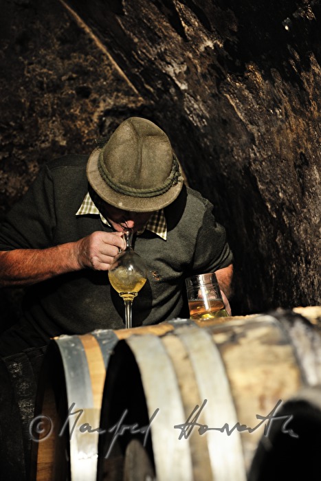 must farmer takes a tasting sample with a syphon