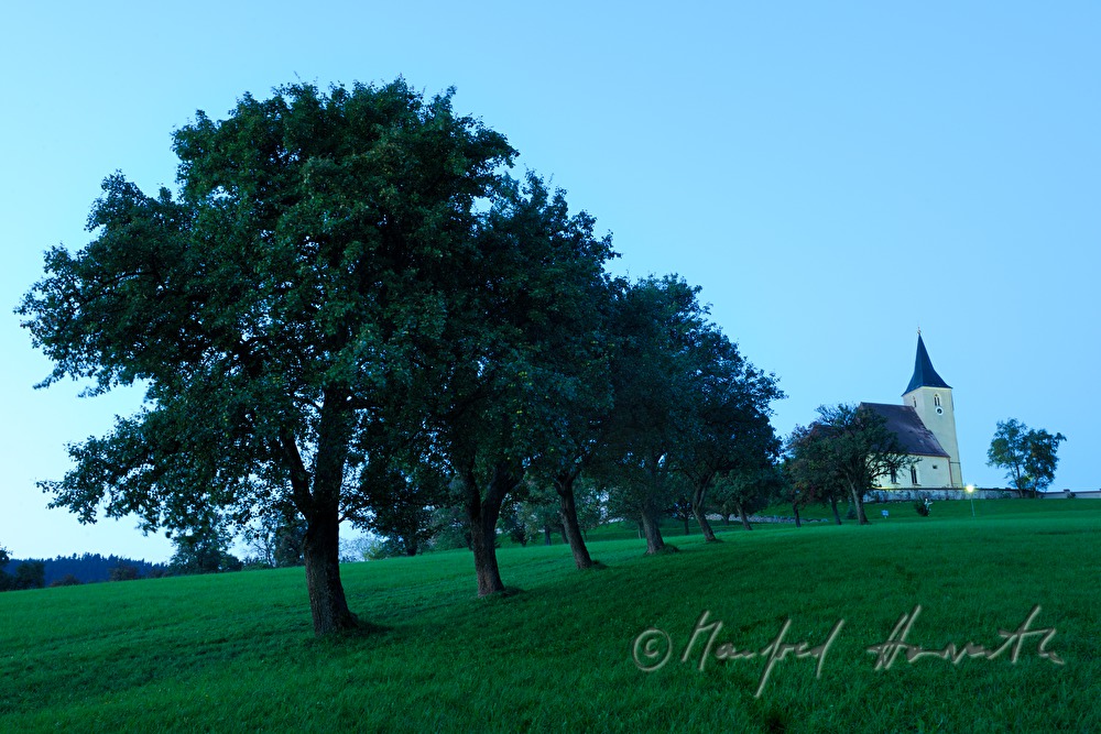 church and alley with pear trees