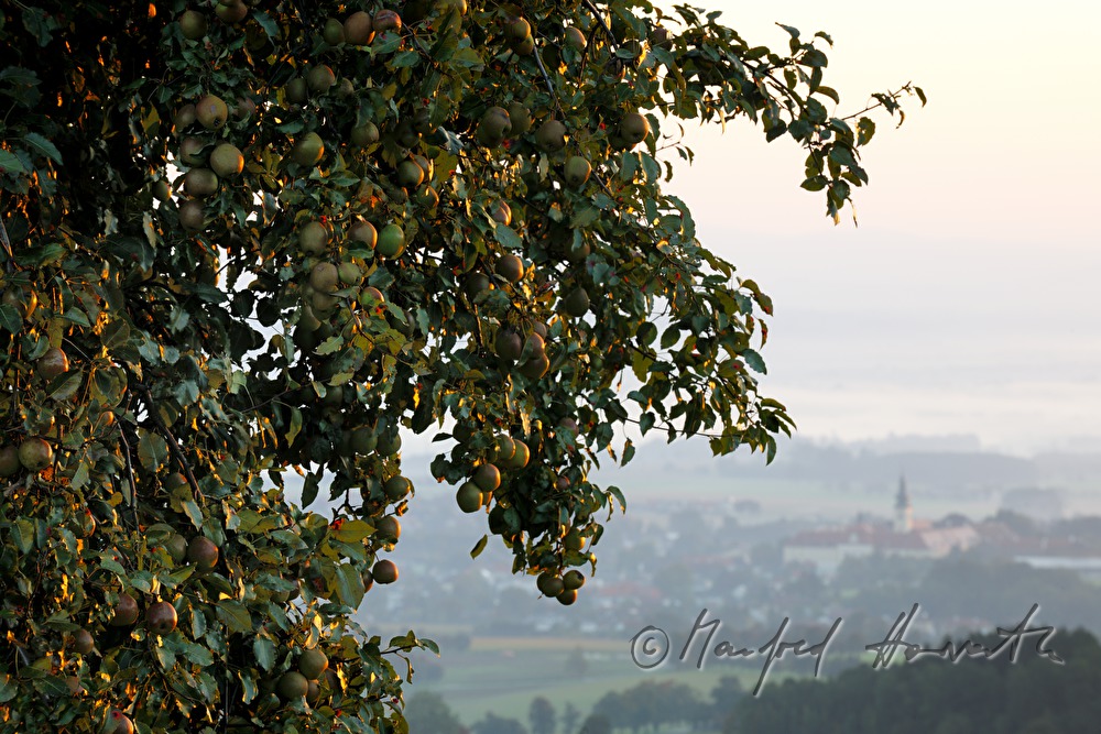 view to the Alpine foothills to monastery Seitenstetten