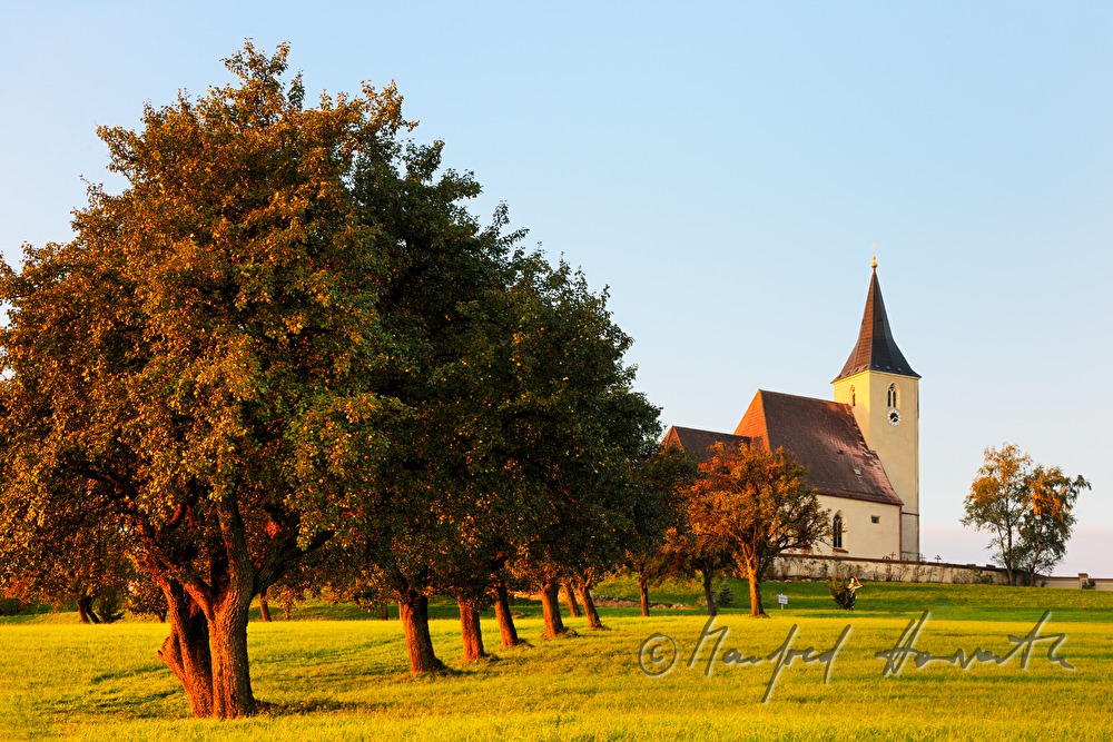 church and alley with pear trees