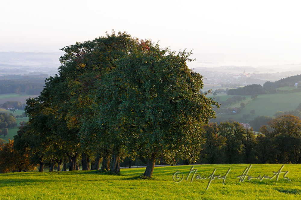 view to the Alpine foothills to monastery Seitenstetten