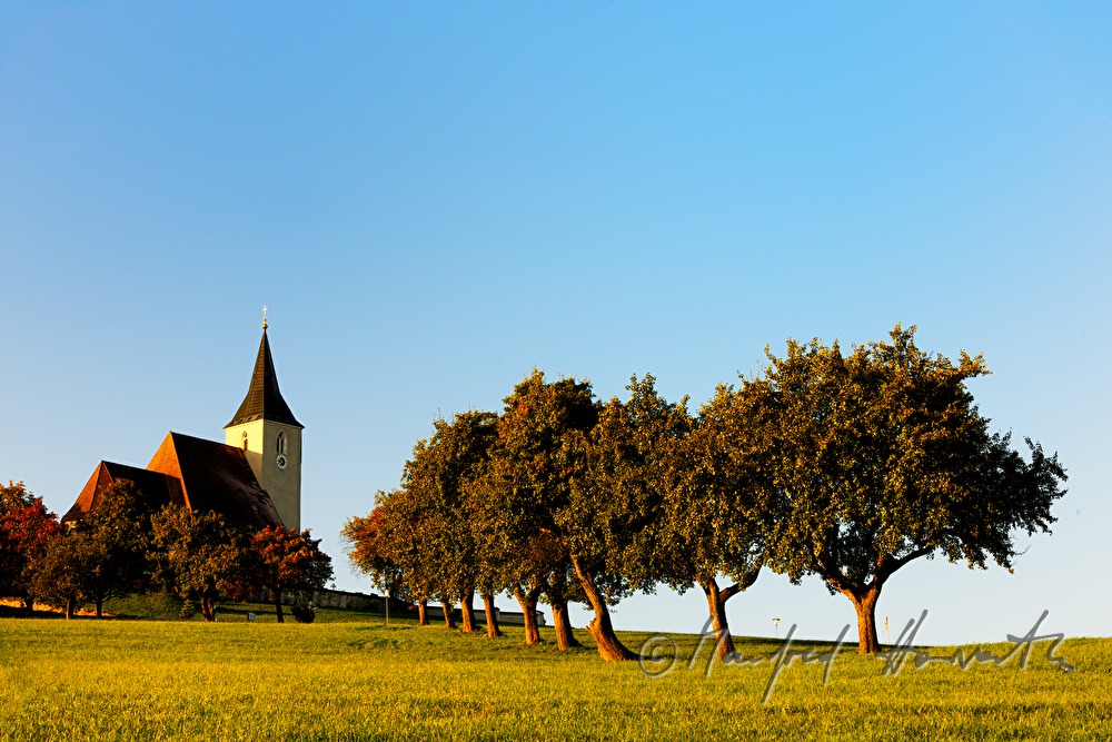 church and alley with pear trees