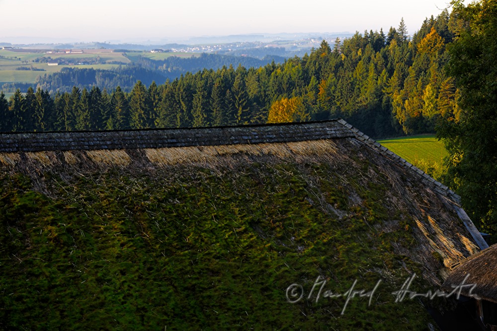 farmhouse with thached roof
